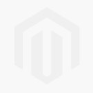 Anticorrosive Paint